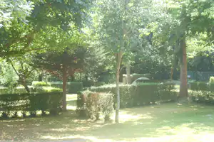 Waldwiese mit vielen Bäumen, grüner Wiese und einem Zelt im Hintergrund auf dem Campingplatz.