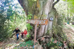 Wegweiser „Sentier Sportif“ an einem großen Baumstamm, daneben eine Holztafel mit „T50“, im Hintergrund Wanderer im Wald.
