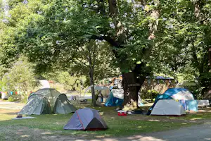 Zelte auf einem Campingplatz im Grünen unter großen Bäumen, mit Picknicktisch und weiteren Zelten im Hintergrund.