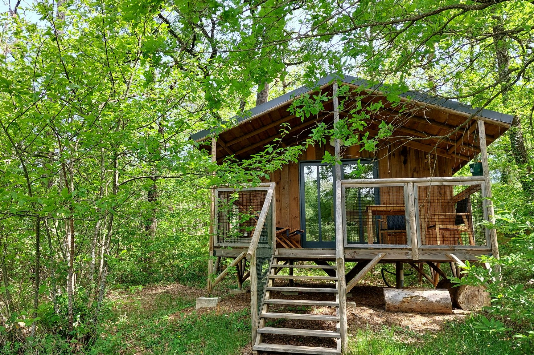 Holzhütte mit Veranda und Treppe im grünen Wald, umgeben von Bäumen und Buschwerk.