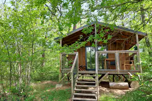 Holzhütte mit Veranda und Treppe im grünen Wald, umgeben von Bäumen und Buschwerk.
