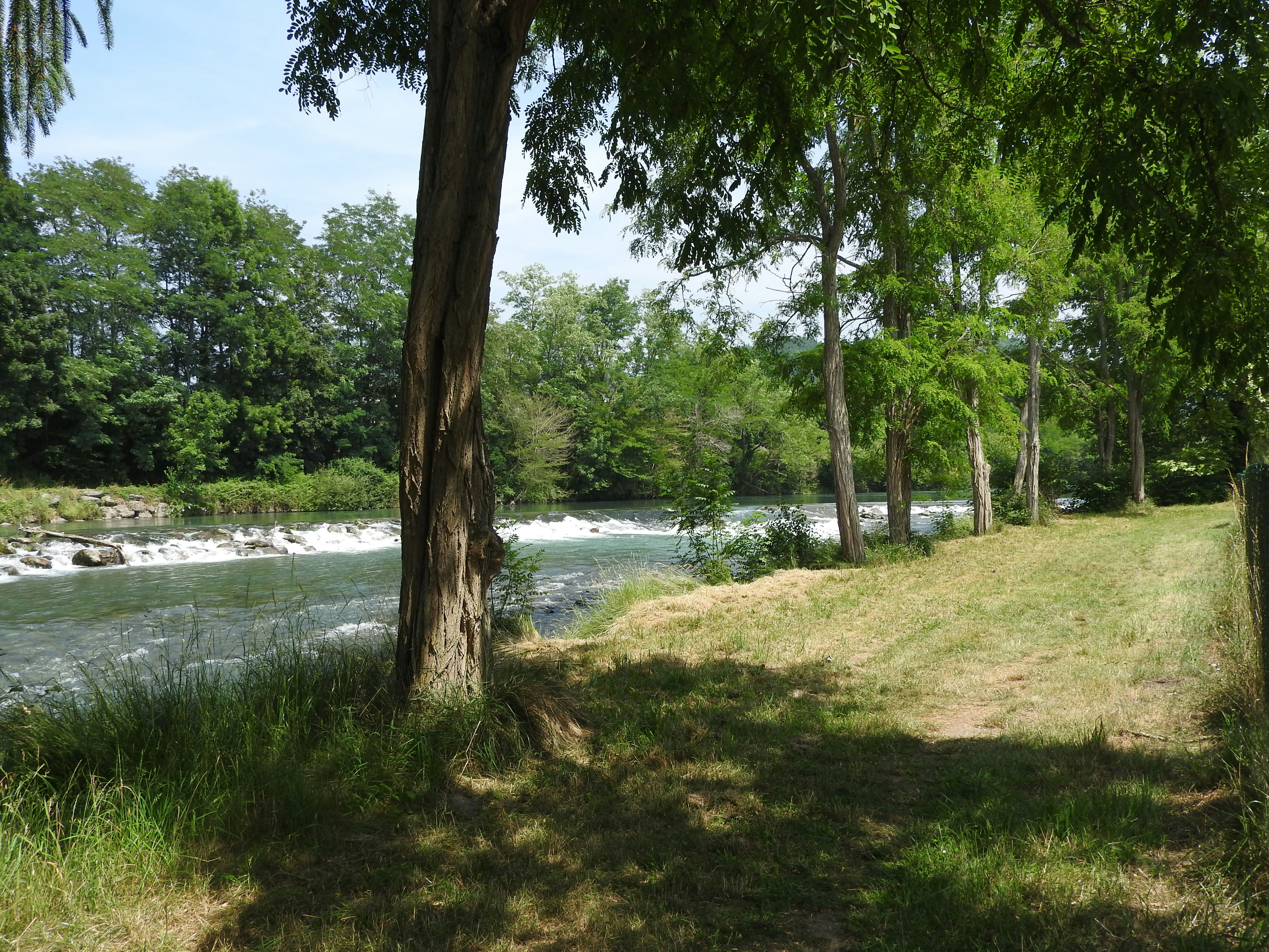 Fluss mit ruhigem Ufer und Grasfläche am Campingplatz, gesäumt von Bäumen und dichtem Grün.