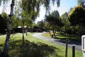 Campingweg durch den Rasen, gesäumt von Bäumen, mit Gebäuden im Hintergrund und einem kleinen Tisch am Rand.