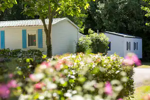 Weißes Mobilheim mit blauen Fensterläden, umgeben von Büschen und Bäumen im grünen Campingbereich.