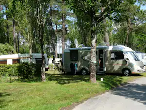 Camping Le Saint Laurent - Standplätze zwischen den Bäumen auf dem Campingplatz