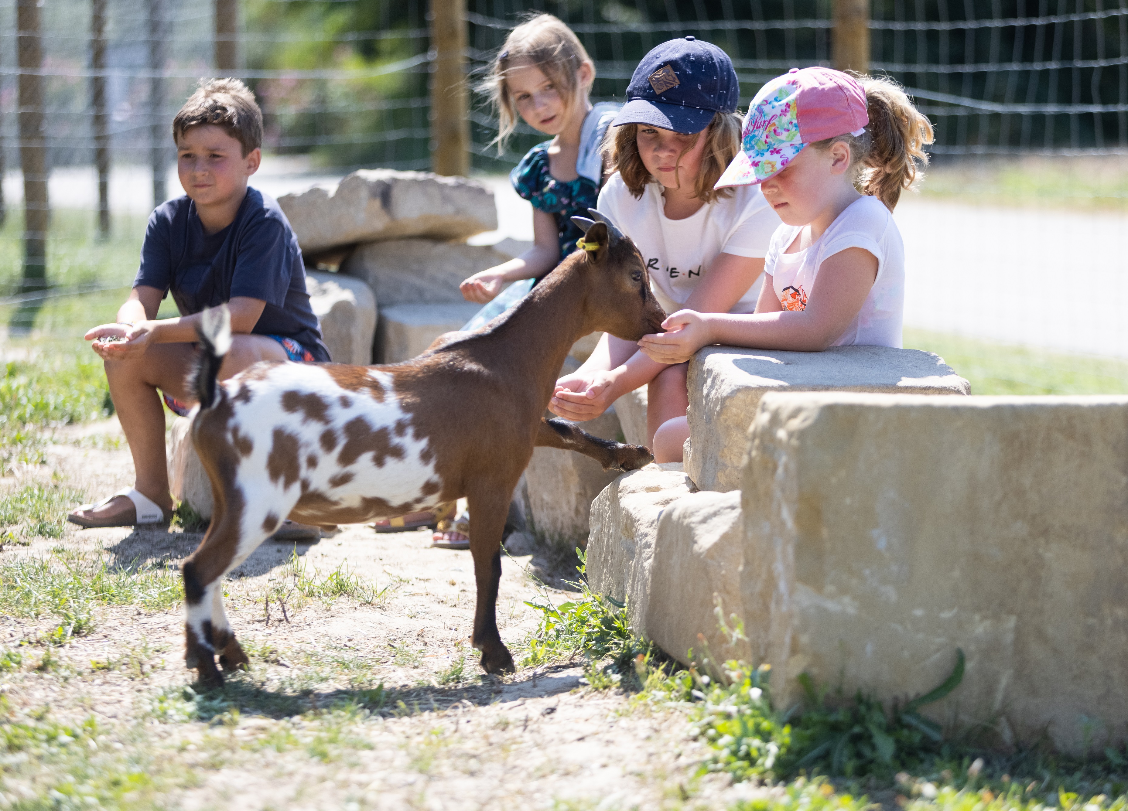 Camping Le Soleil Fruité