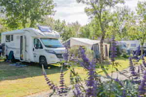 Camping Le Soleil Levant-Ribes - Standplätze auf dem Campingplatz