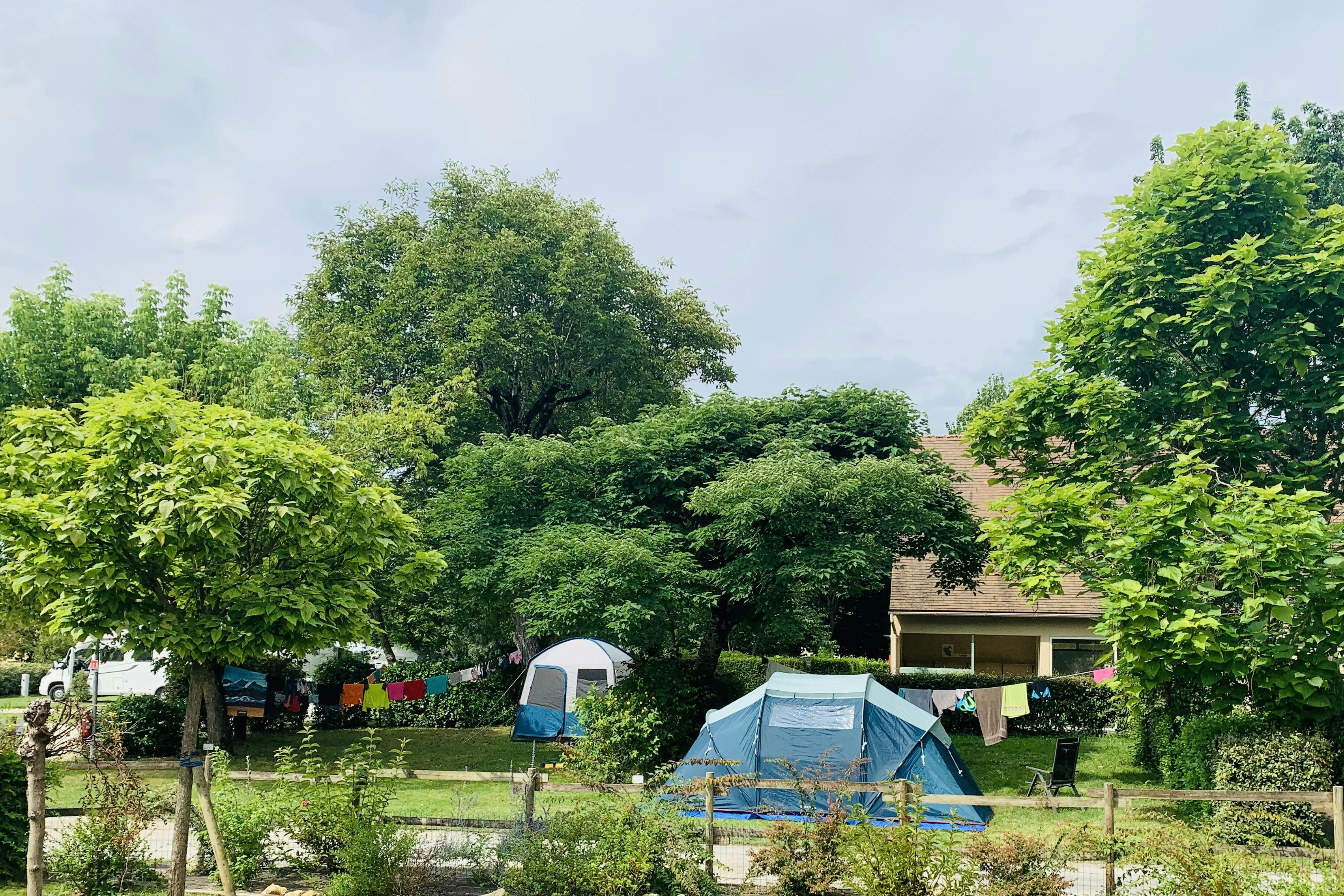 Blaues Campingzelt auf einem Stellplatz im Grünen, umgeben von Hecken, Bäumen und Wäscheleine zwischen Zelten.