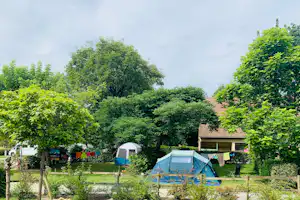 Blaues Campingzelt auf einem Stellplatz im Grünen, umgeben von Hecken, Bäumen und Wäscheleine zwischen Zelten.