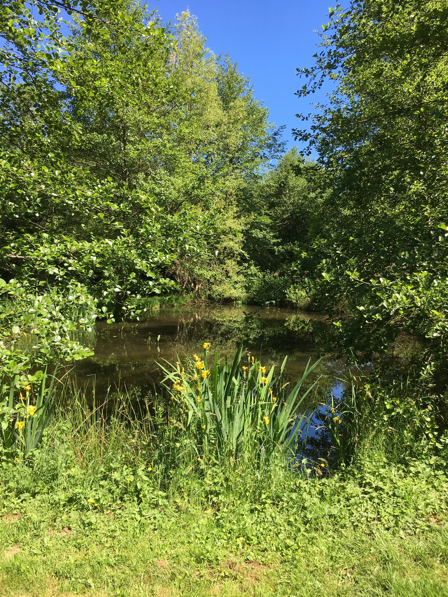 Camping Le Touroulet