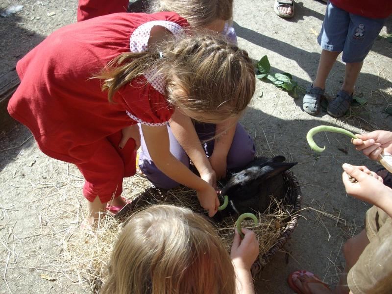 Camping le Trèfle à 4 Feuilles