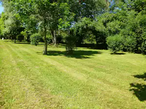 Weite grüne Wiese mit mehreren Bäumen und Schatten, umgeben von dichtem Grün im Campingbereich.