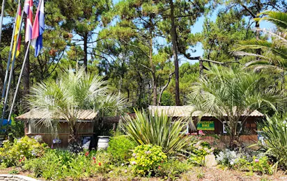 Camping Sandaya Le Truc Vert