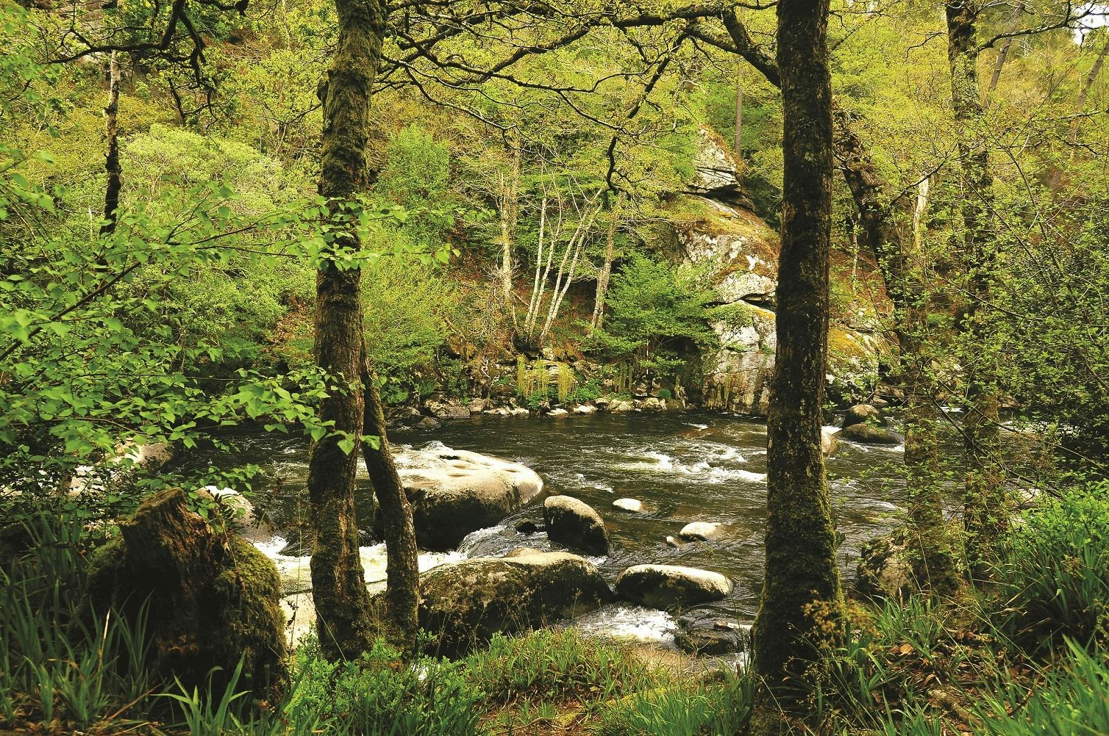 Camping Ty Nadan  Camping Iris Parc Le Ty Nadan - Fluss im Wald am Campingplatz