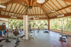 Fitnessraum im Campinghaus mit Trainingsgeräten, großen Fenstern und Holzdecke, Blick auf den Garten mit Bäumen.