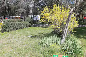 Camping Le Val d'Hérault - Standplätze auf dem Campingplatz