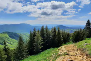Blick von einem grünen Hang auf bewaldete Berge, Fichten und einen Himmel mit Wolken.