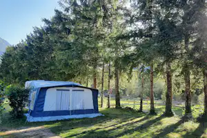 Campingzelt im Grünen unter hohen Bäumen, mit Wiese und Zaun im Hintergrund.