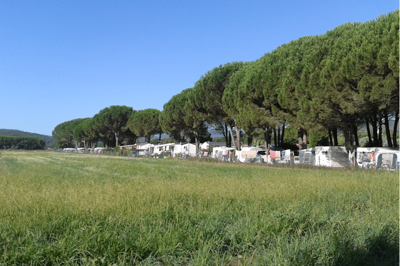 Camping Le Vaudois  -  Wohnwagen- und Zeltstellplatz unter Bäumen auf dem Campingplatz