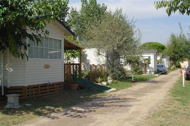 Camping de Vaudois  Camping Le Vaudois  - Mobilheime auf dem Campingplatz