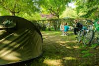 Camping Le Vaugrais - Schattiger Stellplatz im Grünen