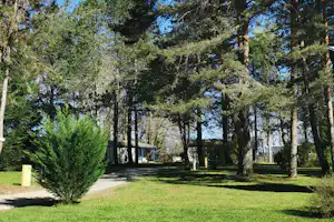 Campingplatz mit Baumallee, gepflastertem Weg und Rasenfläche, im Hintergrund kleine Gebäude zwischen den Bäumen.