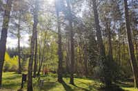 Camping les Sapins de Corrèze  Camping le Vianon - Standplätze zwischen den Bäumen im Wald