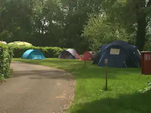 Mehrere Zelte auf einem grünen Campingplatz, ein Weg führt vorbei, im Hintergrund Bäume und Hecken.