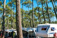 Camping Le Vieux Port - Stellplätze zwischen den Bäumen