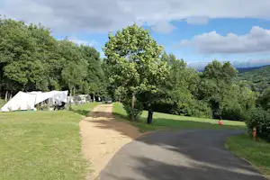 Campingweg mit Rasen und Bäumen, links Zelte und rechts ein weiterer Stellplatz auf dem grünen Gelände.