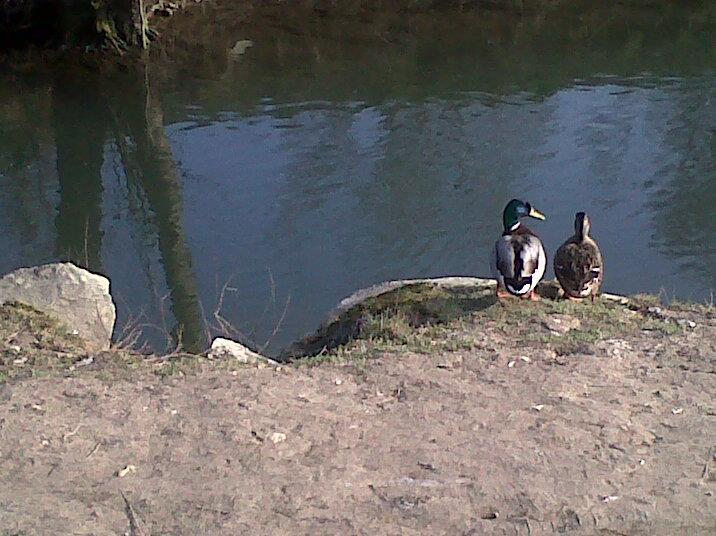 Camping Le Vélodrome