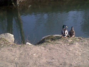 Camping Le Vélodrome