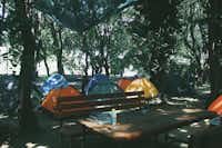 Camping Legjenda  -  Üicknicktisch am Zeltplatz vom Campingplatz zwischen Bäumen