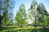 Camping Leiputrija  -  Stellplatz vom Campingplatz im Grünen