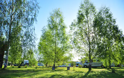 Campsite Leiputrija