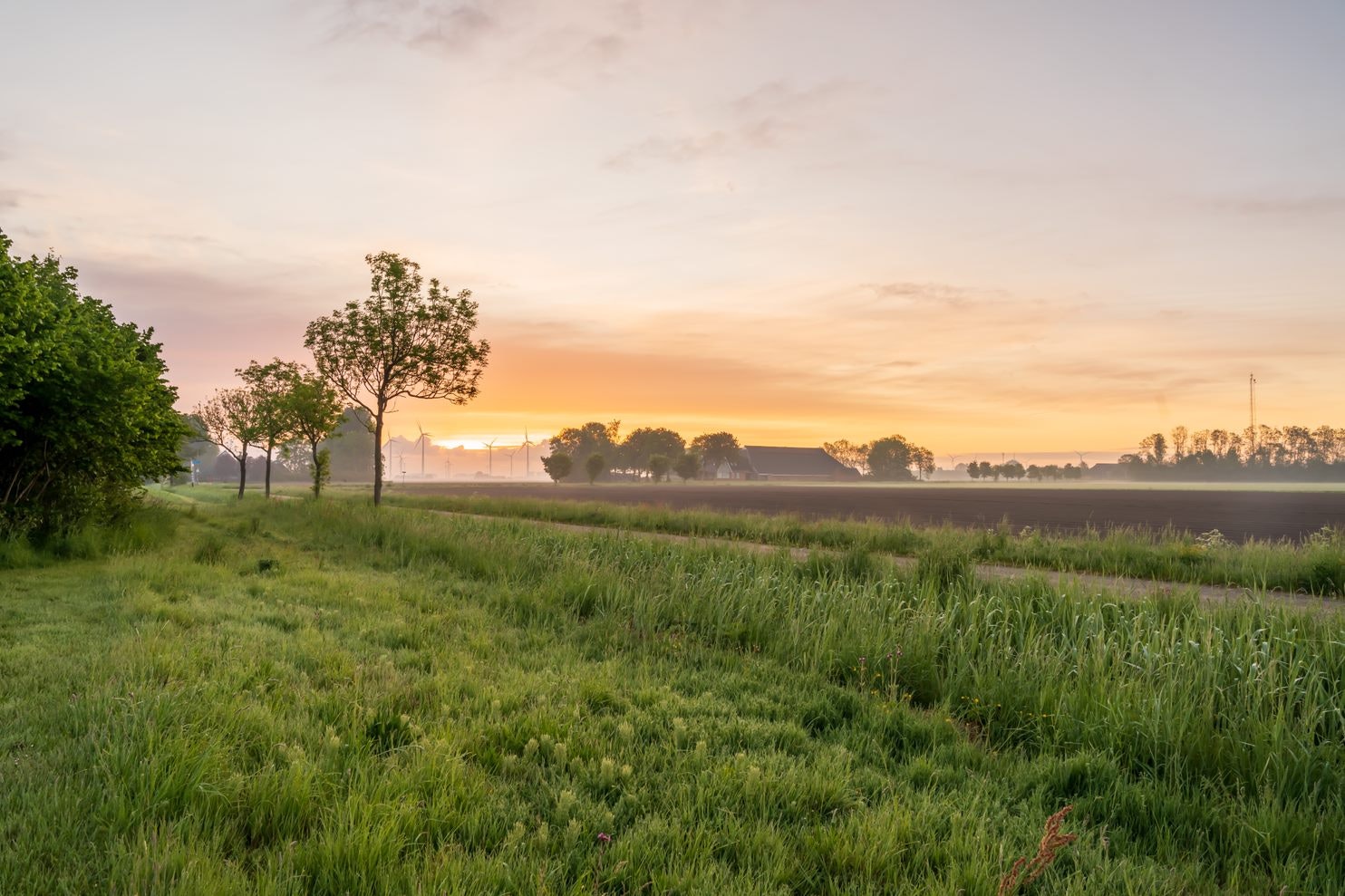 Lentemaheerd - Blick in die Umgebung des Campingplatzes bei Sonnenuntergang