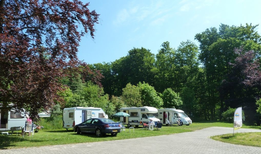 Camping Leśny Dwór -  Waldgut - Stellplätze im Grünen