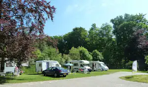 Wohnmobile und Campingfahrzeuge auf einem Stellplatz am Rand eines grünen Rasens, mit Bäumen und gepflastertem Weg.