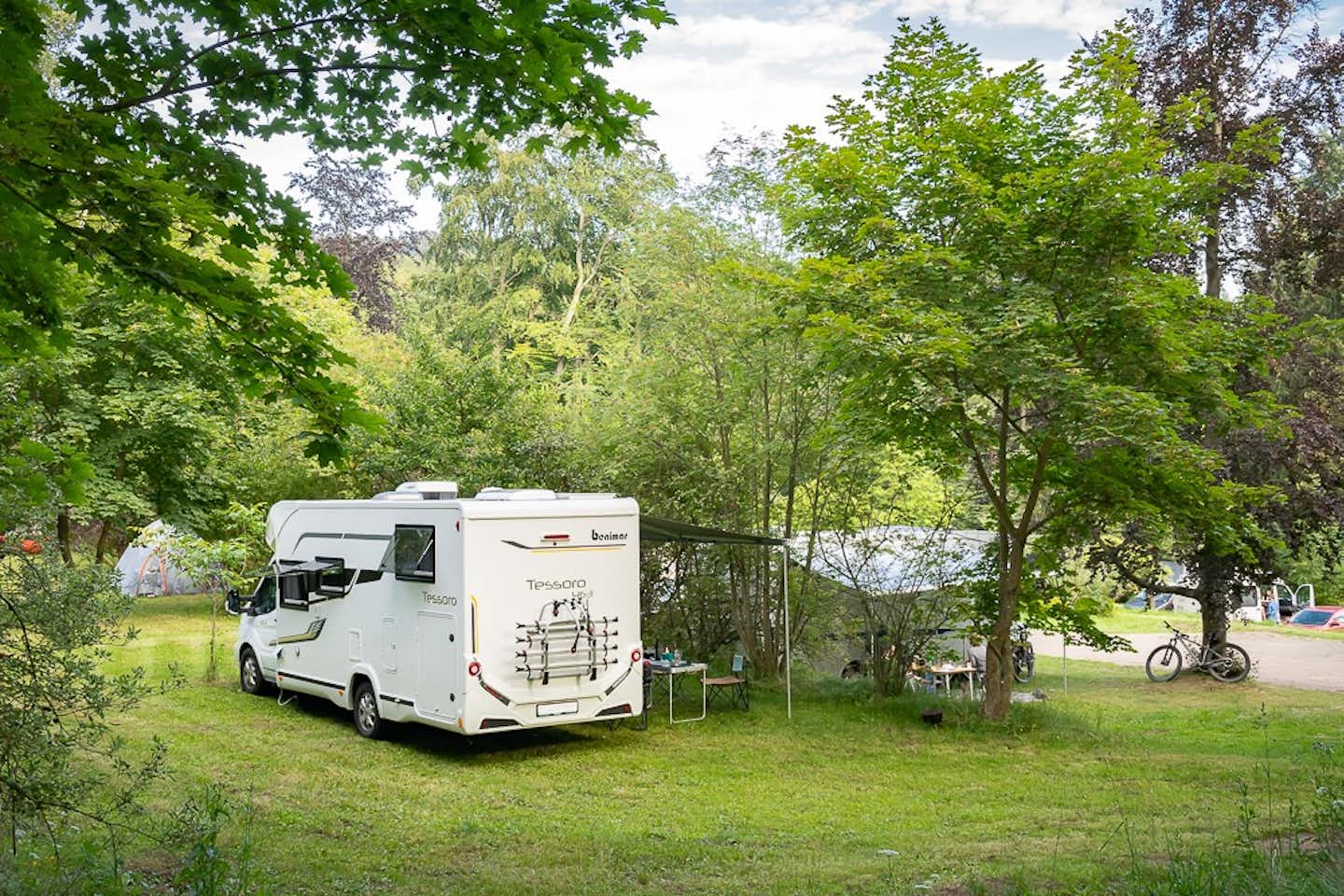 Camping Leśny Dwór -  Waldgut - Stellplätze im Grünen