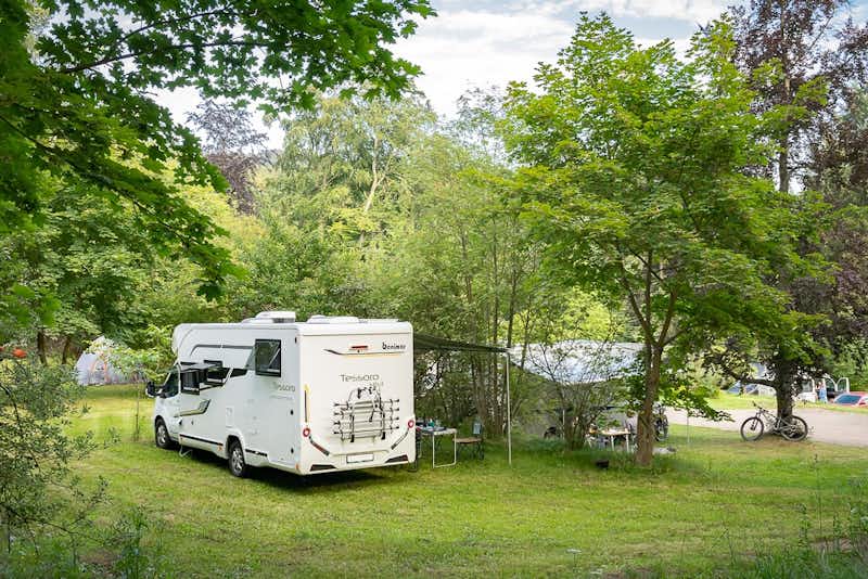 Camping Leśny Dwór -  Waldgut - Stellplätze im Grünen