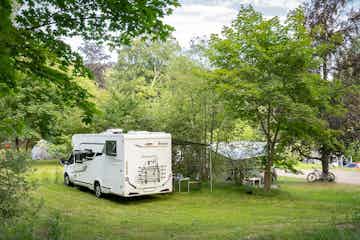 Camping Leśny Dwór -  Waldgut