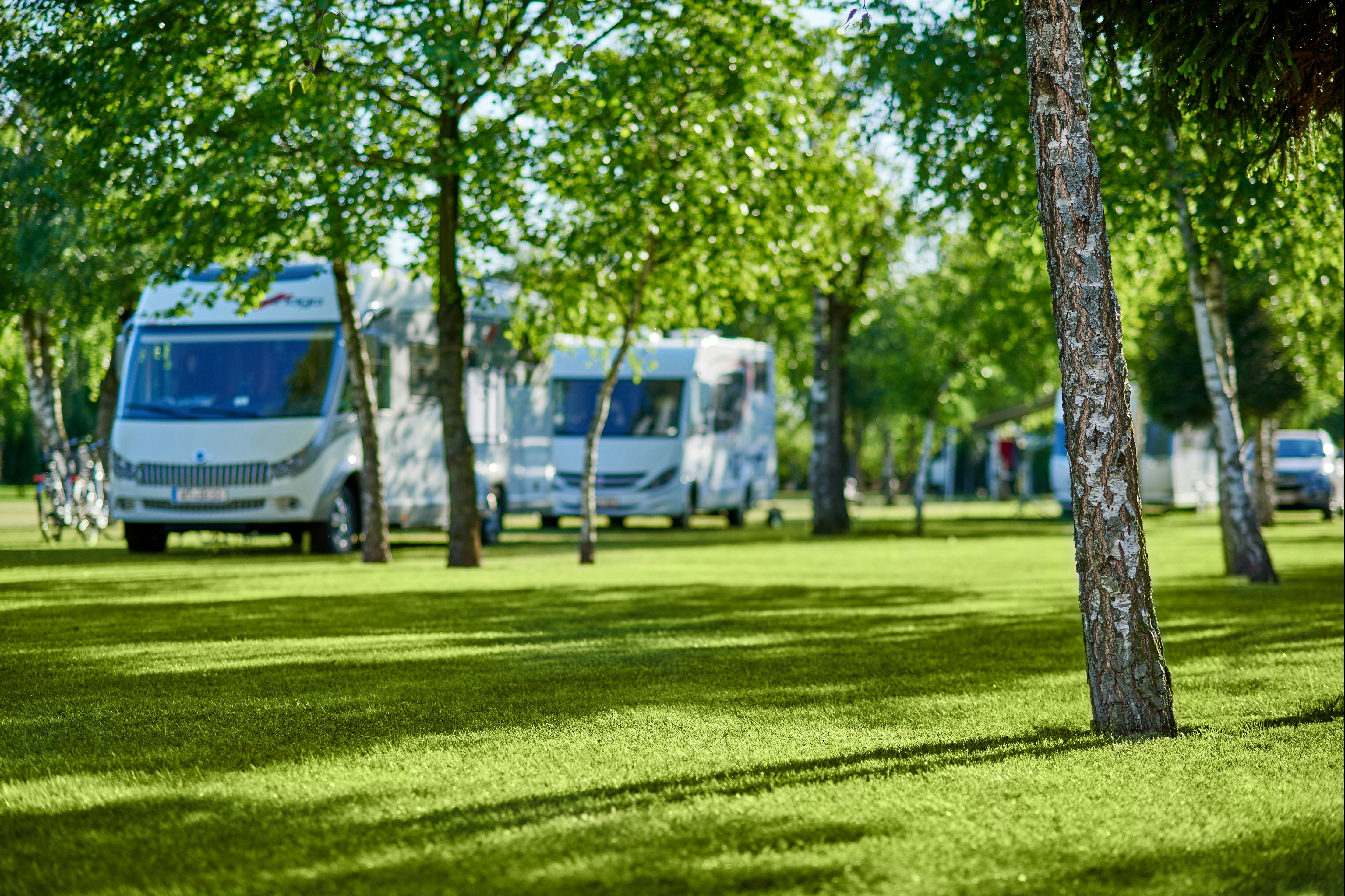 Camping Leśny (Nr. 51)