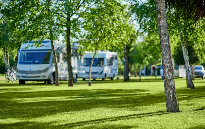 Camping Leśny (Nr. 51)