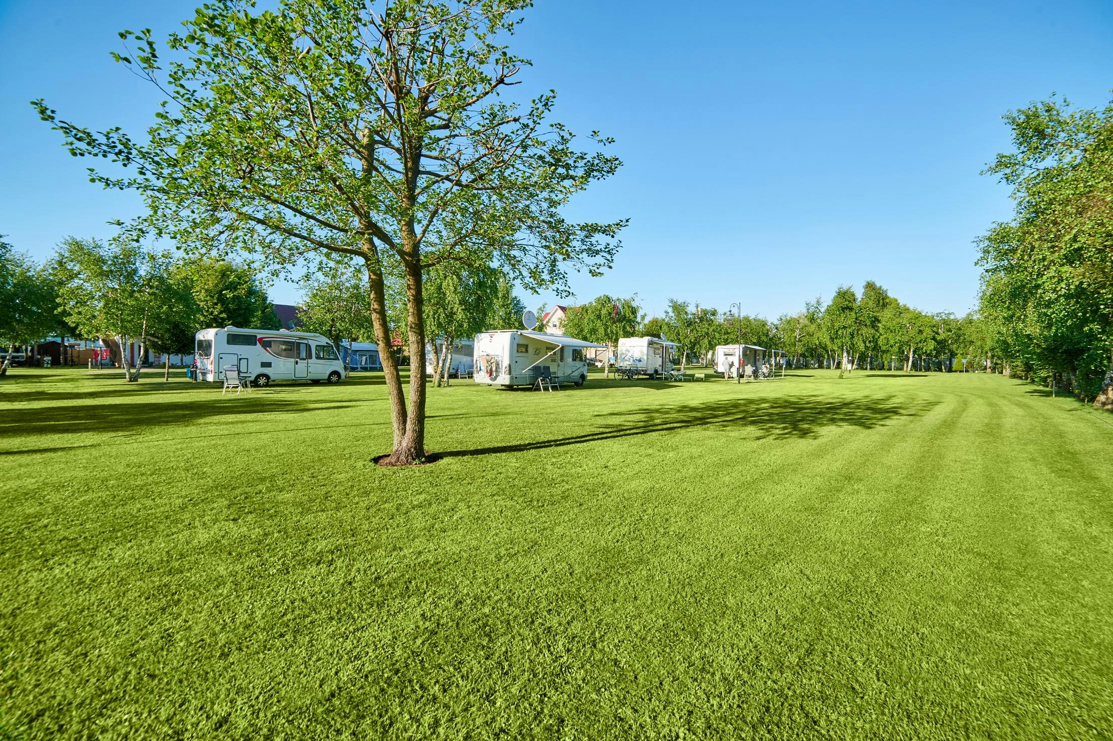 Camping Leśny (Nr. 51) - Standplätze auf der Wiese auf dem Campingplatz