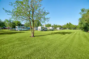 Camping Leśny (Nr. 51) - Standplätze auf der Wiese auf dem Campingplatz
