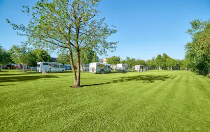 Camping Leśny (Nr. 51)
