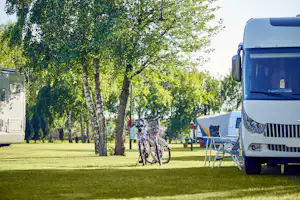 Camping Leśny (Nr. 51) - Blick auf den Stellplatz mit gepflanzten Bäumen, im Vordergrund ein Wohnmobil mit davor gestellten Campingstühlen und zwei Fahrrädern