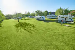 Camping Leśny (Nr. 51) - Stellplatzwiese mit geparkten Wohnmobilen