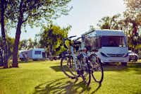 Camping Leśny (Nr. 51) - Wohnwagen- und Zeltstellplatz mit zwei geparkten Fahrrädern im Vordergrund