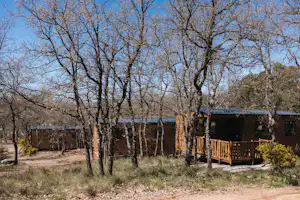 Holzhütten auf einem Campingplatz zwischen kahlen Bäumen, mit Holzterrasse und Wegen im Hintergrund.